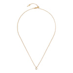 Ted Baker Sinalaa Gold Crystal Necklace