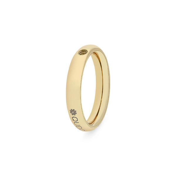 Basic Small Gold Ring