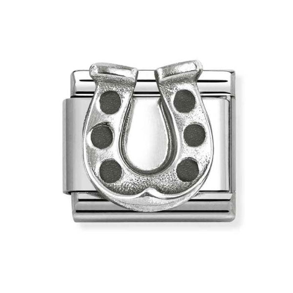 Silver Horseshoe Link