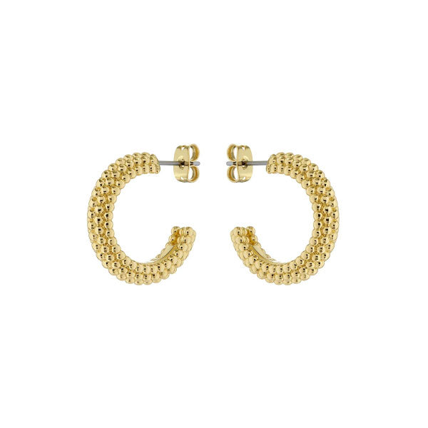 Ted Baker Dotetta Gold Tone Hoops