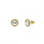 Ted Baker Soletia Crystal Gold Earrings