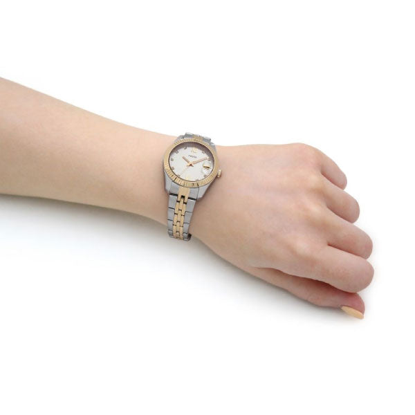 Fossil small online watch