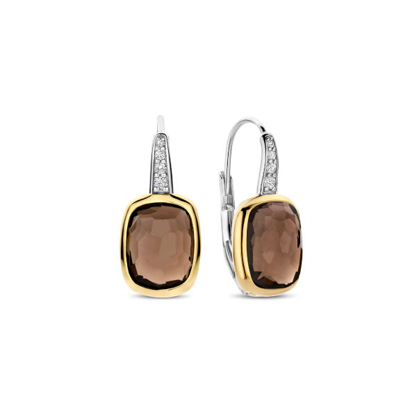 Gold Smoky Brown Earrings