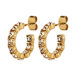 Raquel Gold Earrings with Golden Stones