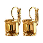 Segin Gold Earrings with Golden Stone