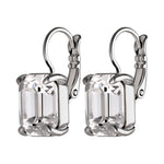 Segin Silver Earrings with Clear Crystal Stone