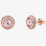 Ted Baker Soletia Crystal Rose Gold Stud Earrings