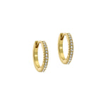 Ted Baker Heplie Gold Tone Crystal Hoop Earrings