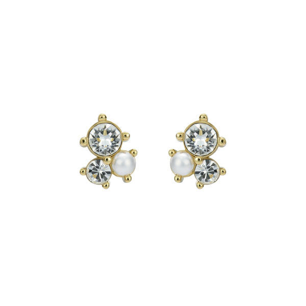 Ted Baker Joyaa Gold Tone Crystal Jewel Cluster Stud Earrings