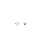 Guess Wonderlights Silver Tone and Crystal Stud Earrings