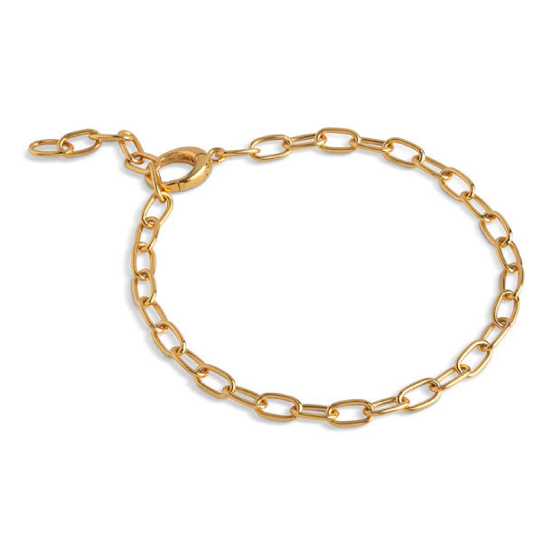 Gold Medium Charm Bracelet