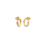 Guess Forever Mini Gold Tone Hoops
