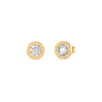 Guess Colour my Day Crystal Gold Tone Earrings